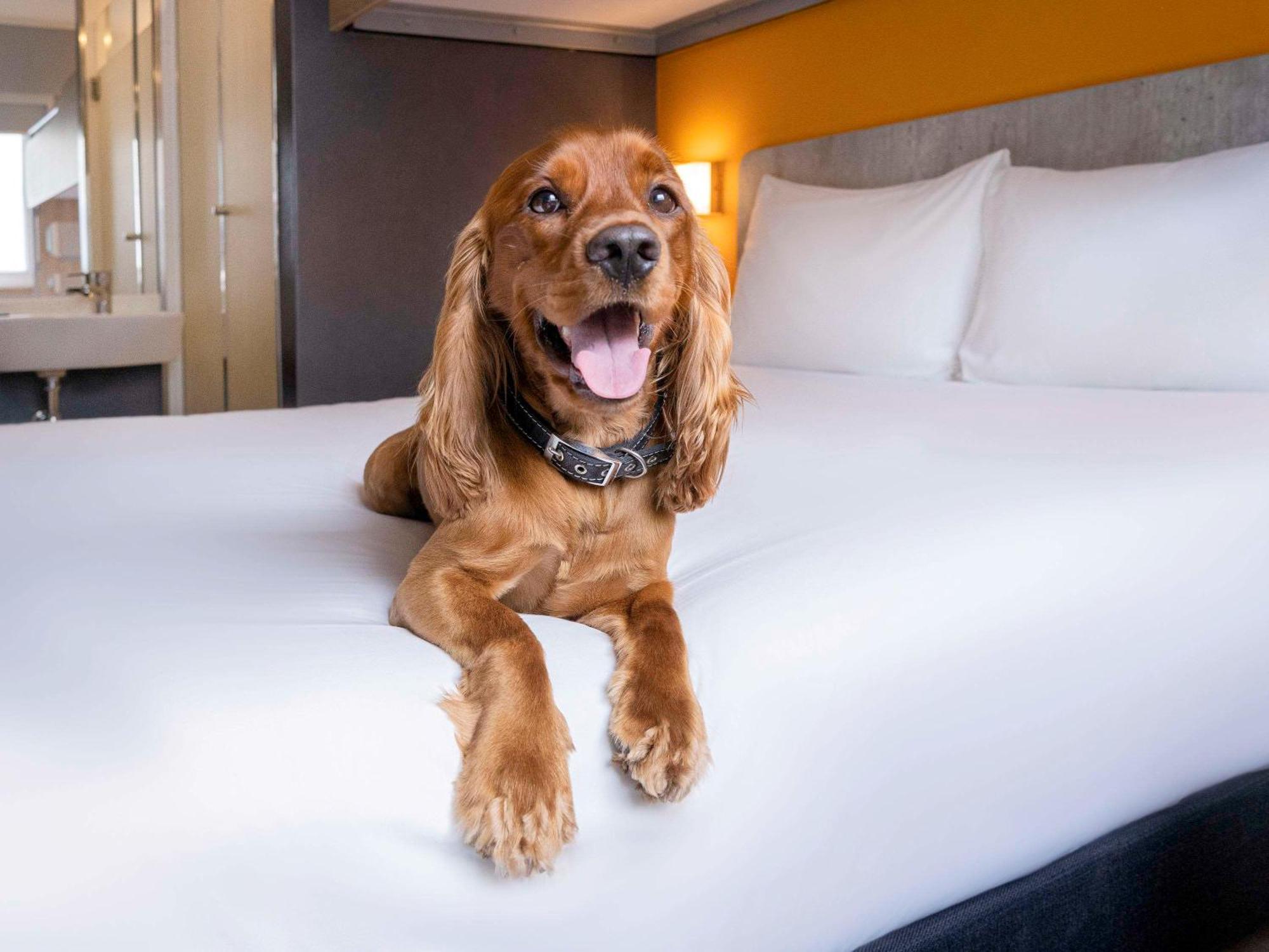 Ibis Budget Lima Miraflores Εξωτερικό φωτογραφία